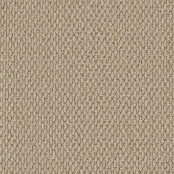 Primo Textures Elk carpet by Cormar Carpets