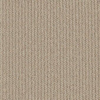 Primo Textures Flint carpet by Cormar Carpets