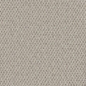 Primo Textures Moon Mist carpet by Cormar Carpets