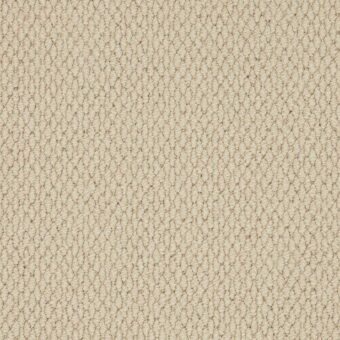 Primo Textures Pale Linen carpet by Cormar Carpets