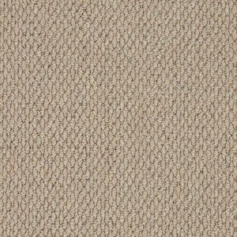 Primo Textures Thread carpet by Cormar Carpets