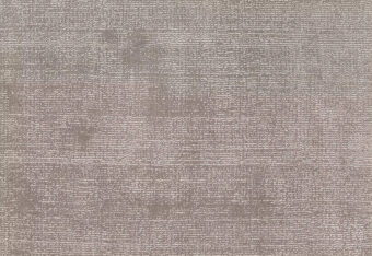 Plush Sheer Agate carpet by Alternative Flooring