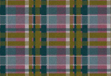 Quirky B Tartan Gallant carpet by Alternative Flooring