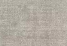 Plush Sheer Moonstone carpet by Alternative Flooring