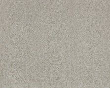 Soft Perfection 432 Elmwood carpet by Lano