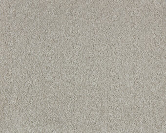 Soft Perfection 432 Elmwood carpet by Lano