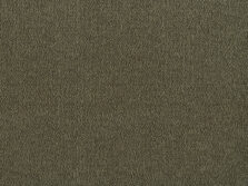 Illumina 500 Olive carpet by Lano
