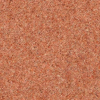 Dimensions Berbers Barafundle Bay carpet by Brockway Carpets