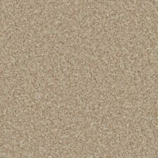 Kingston Elite Caracal carpet by Cormar Carpets