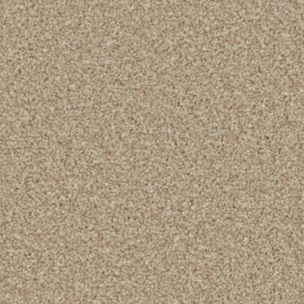 Kingston Elite Caracal carpet by Cormar Carpets