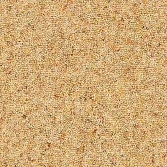 Dimensions Berbers Chesil Beach carpet by Brockway Carpets