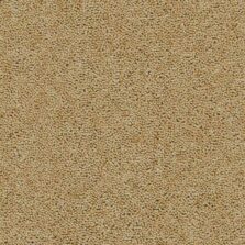 Rosedale Daffodil Valley carpet by Brockway Carpets