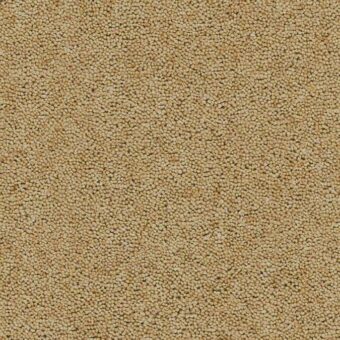 Rosedale Daffodil Valley carpet by Brockway Carpets