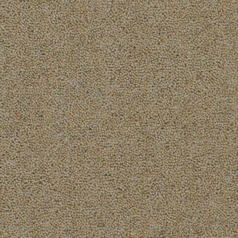 Rosedale Danby Castle carpet by Brockway Carpets