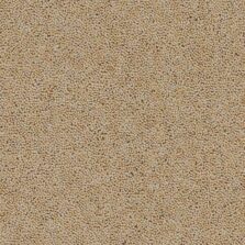 Rosedale Habton carpet by Brockway Carpets