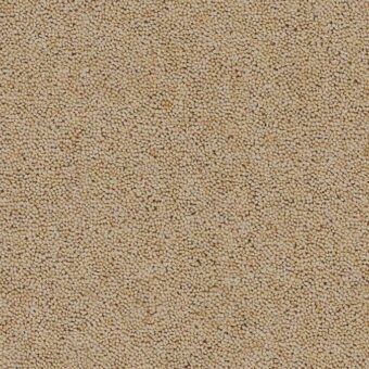 Rosedale Habton carpet by Brockway Carpets