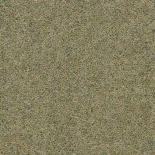 Rosedale Loose Howe carpet by Brockway Carpets