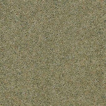 Rosedale Loose Howe carpet by Brockway Carpets