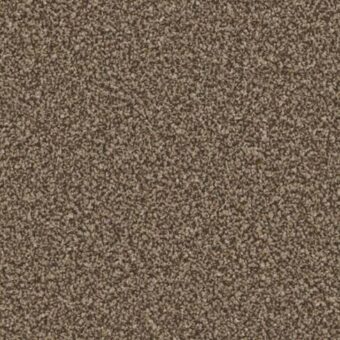 Kingston Classic Mocha carpet by Cormar Carpets