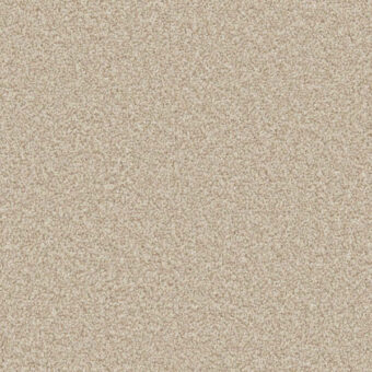 Apollo Plus Shortbread carpet by Cormar Carpets