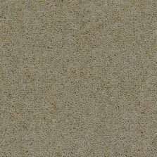 Rosedale Thorgill carpet by Brockway Carpets