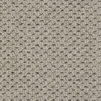 Durham Alternates Boucle Sapwood carpet by Hugh Mackay