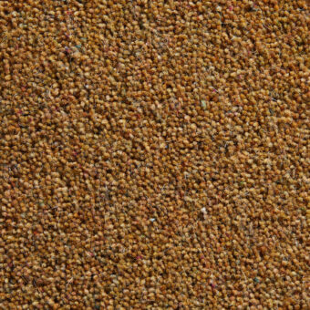 Durham Tweed Canna carpet by Hugh Mackay