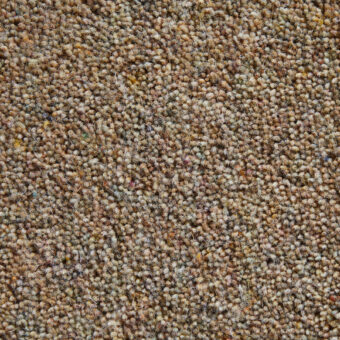 Durham Tweed Coll carpet by Hugh Mackay