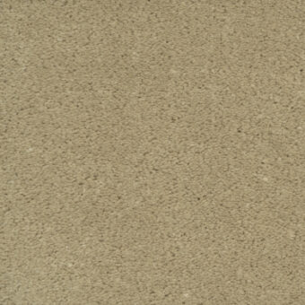Alora Cresto carpet by Artisan Carpets