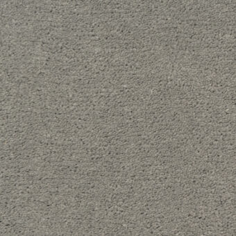 Bellezza Elefante carpet by Artisan Carpets