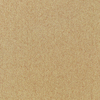 Bell Twist Heather Barley carpet by Brintons