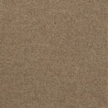 Purely Natural Chroma Brecon Bamboo carpet by Brintons
