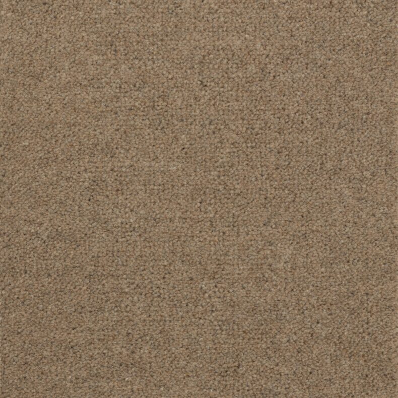 Purely Natural Chroma Brecon Bamboo carpet by Brintons