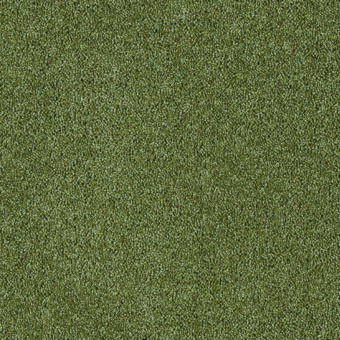 Bell Twist Celtic Green carpet by Brintons