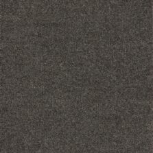 Purely Natural Chroma Darley Graphite carpet by Brintons