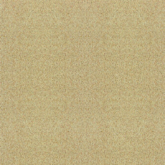 Bell Twist Heather French Champagne carpet by Brintons