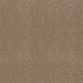 Bell Twist Heather Italian Mocha carpet by Brintons
