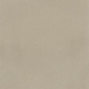 The Chroma Collection Lace carpet by Brintons