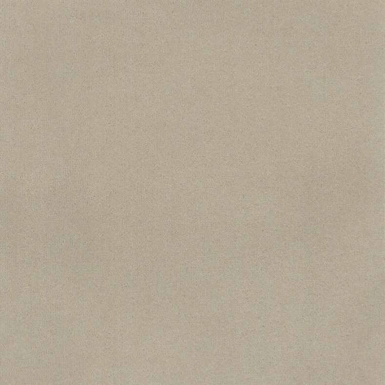 The Chroma Collection Lace carpet by Brintons