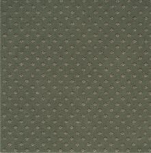 Royal Marquis Collection Royal Diamond Willow Green carpet by Brintons