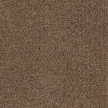 Purely Natural Chroma Wentworth Brown carpet by Brintons