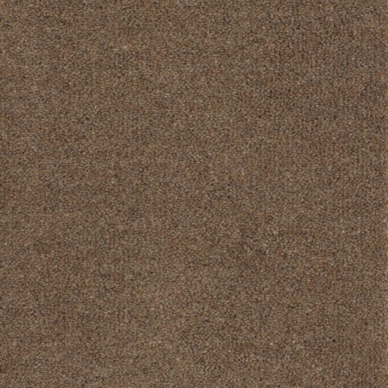 Purely Natural Chroma Wentworth Brown carpet by Brintons