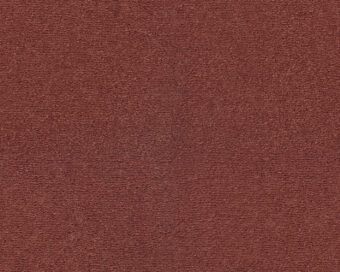 Celeste 121 Coral 1 carpet by SmartStrand