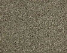 Romance 190 Chestnut carpet by SmartStrand