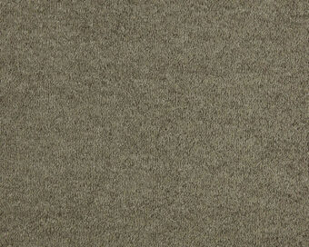 Romance 190 Chestnut carpet by SmartStrand