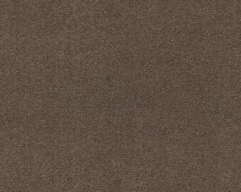 Celeste 211 Tobacco 1 carpet by SmartStrand