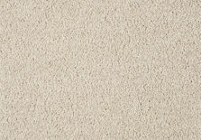 Lounge 221 Acorn 1 carpet by SmartStrand