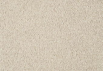 Lounge 221 Acorn 1 carpet by SmartStrand