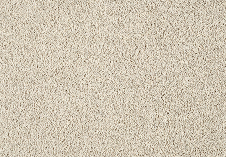 Lounge 221 Acorn 1 carpet by SmartStrand