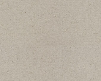 Celeste 241 Cream 1 carpet by SmartStrand